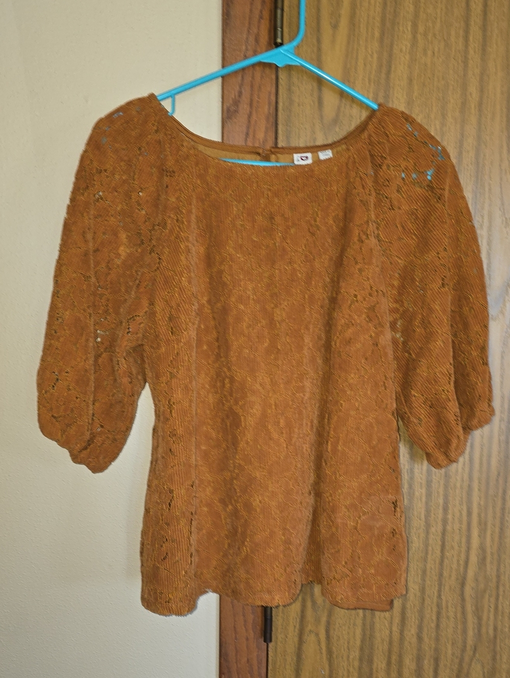dolan Rust Crochet Puff-Sleeve Blouse